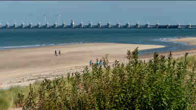 Neem contact met ons op